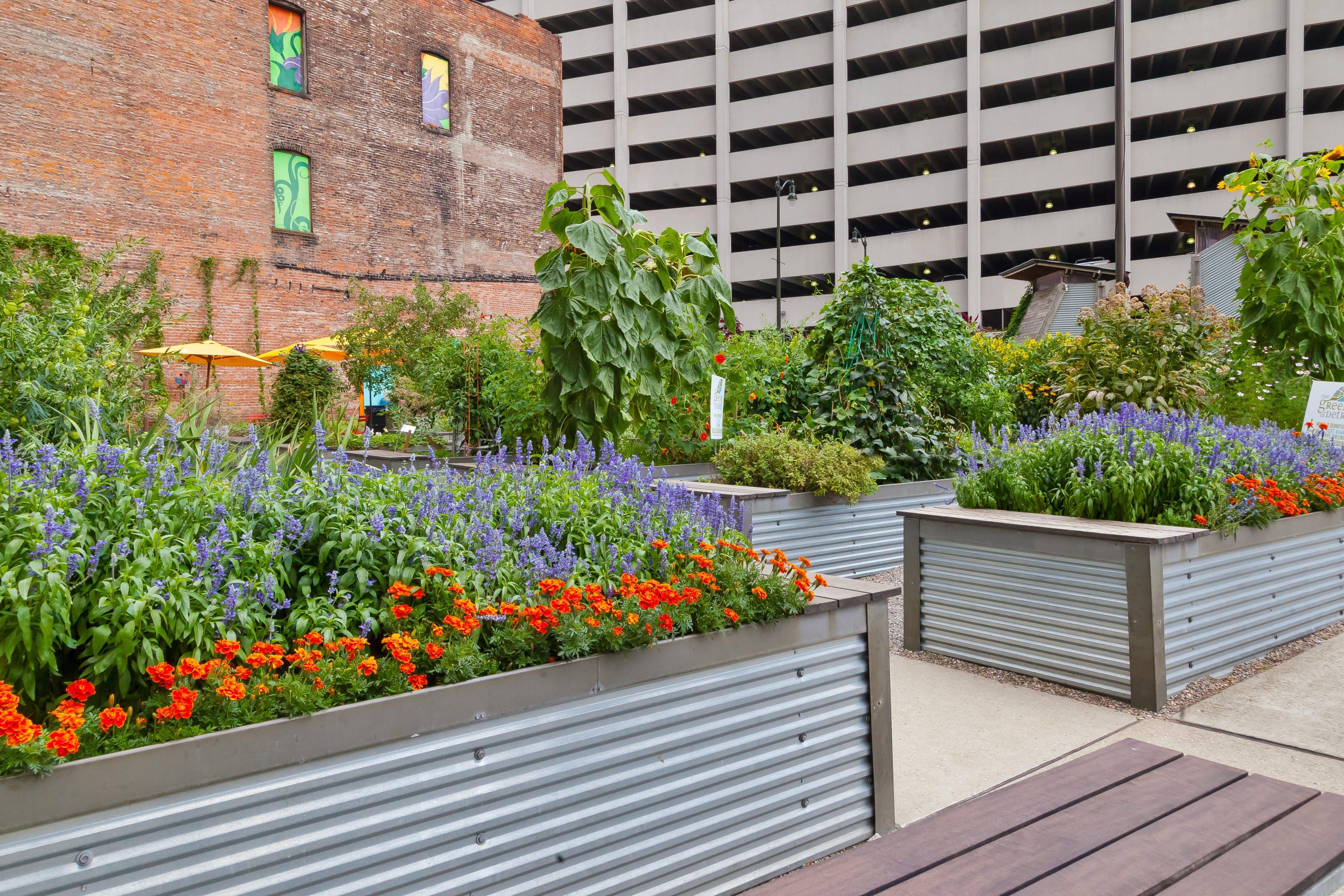 Hotel Indigo Detroit Downtown By Ihg Eksteriør billede